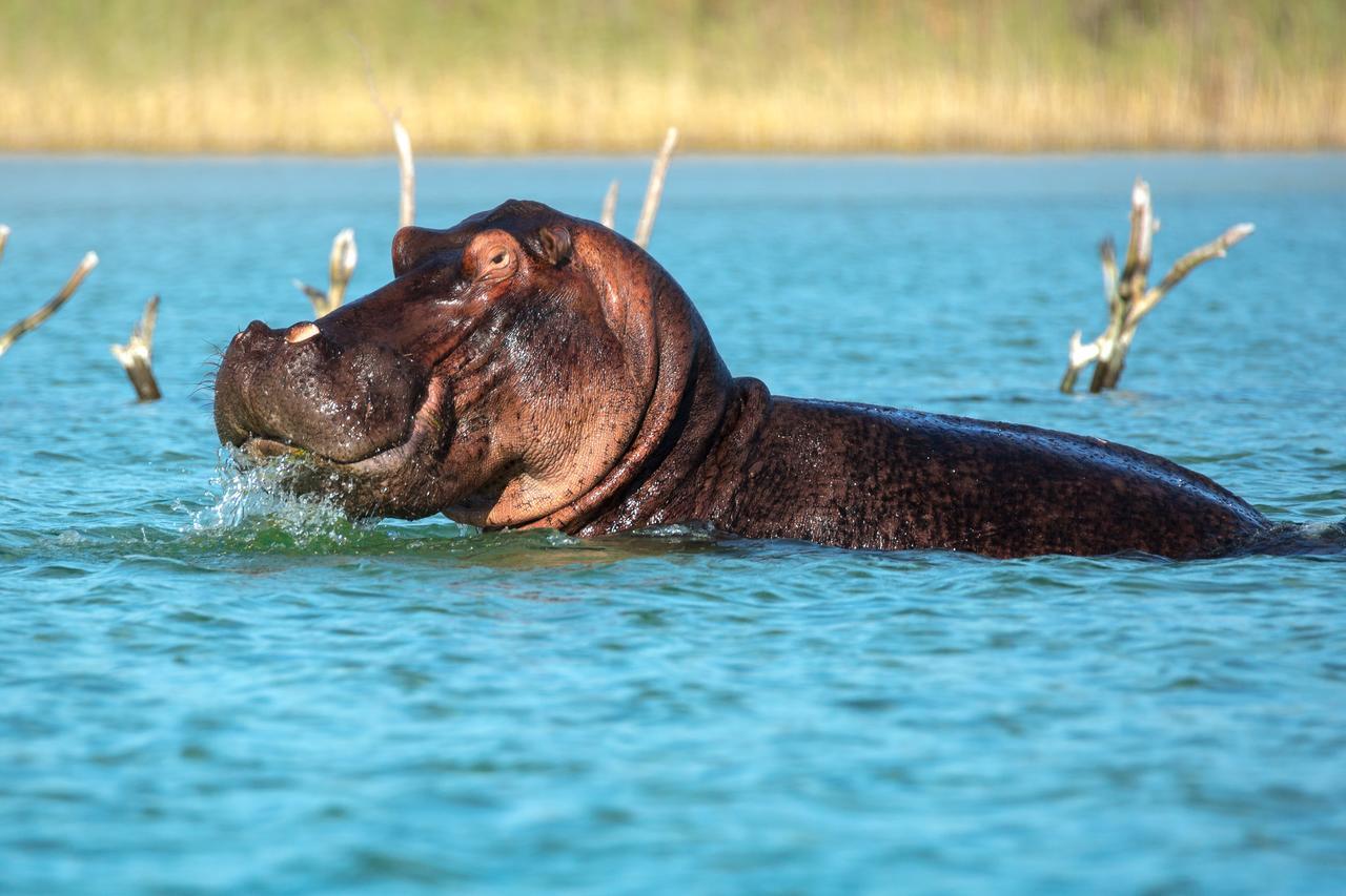 Kosi Forest Lodge Manguzi Экстерьер фото