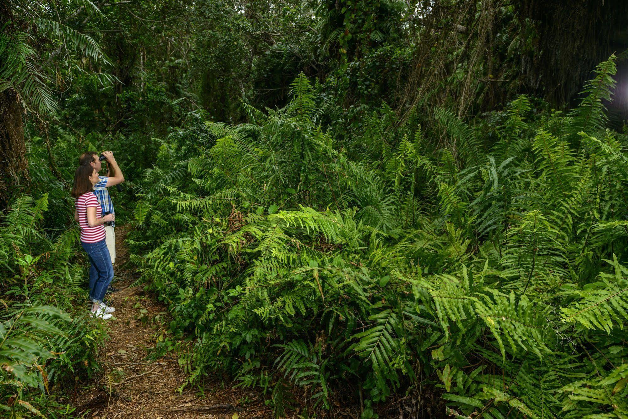 Kosi Forest Lodge Manguzi Экстерьер фото